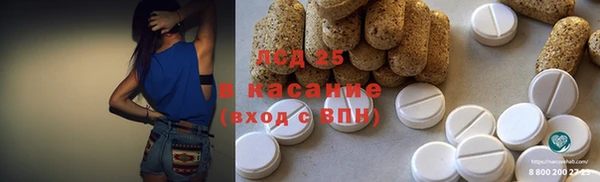 ПСИЛОЦИБИНОВЫЕ ГРИБЫ Арсеньев