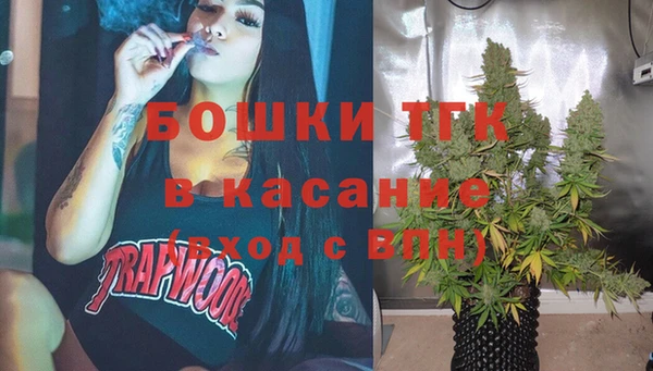 ПСИЛОЦИБИНОВЫЕ ГРИБЫ Арсеньев