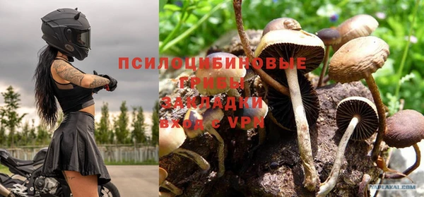 прущий лед Аркадак