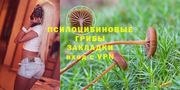 ПСИЛОЦИБИНОВЫЕ ГРИБЫ Арсеньев
