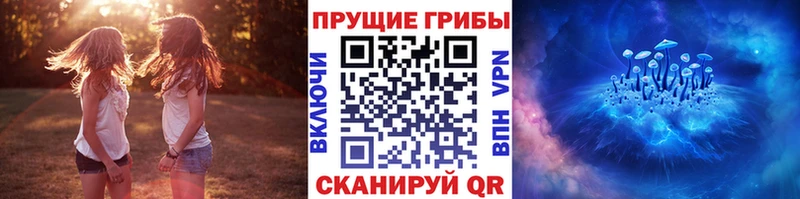 Галлюциногенные грибы ЛСД  Королёв 