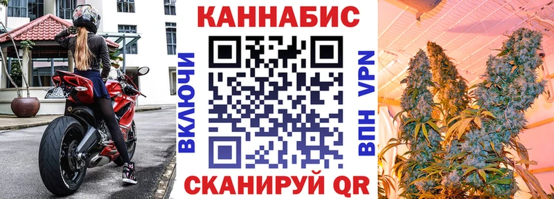 даркнет телеграм  mega   Королёв  Каннабис планчик 